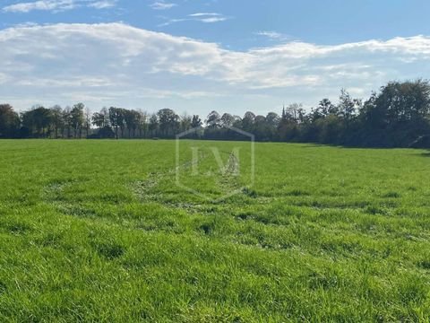 Xanten Bauernhöfe, Landwirtschaft, Xanten Forstwirtschaft