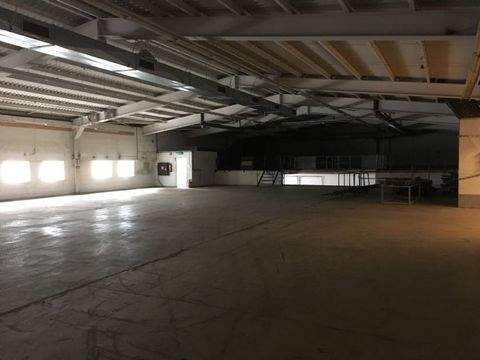 Nürnberg Halle, Nürnberg Hallenfläche