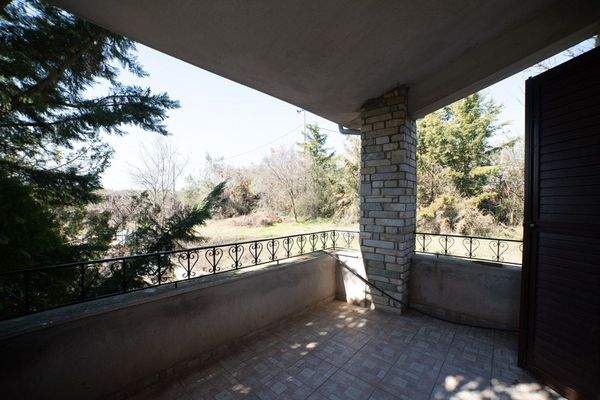 Krinides-Tsiriktsidou 23-02-2024-39.jpg