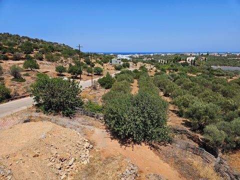 Kreta Bauernhöfe, Landwirtschaft, Kreta Forstwirtschaft