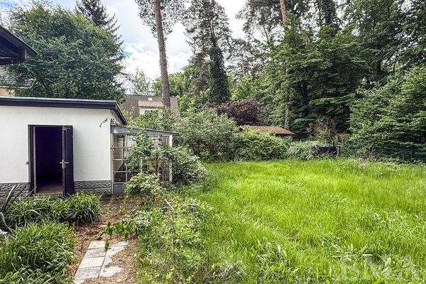 Blick zum Garten und Gewächshaus