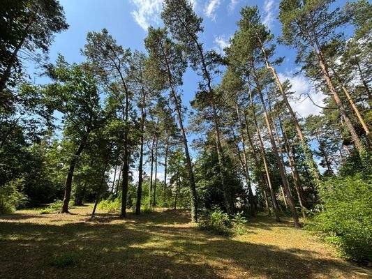 Blick über das Grundstück 