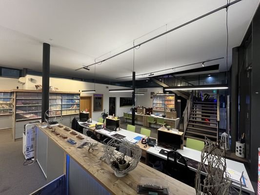 Bild 10
