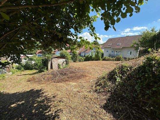 Grundstück Bild III.jpg