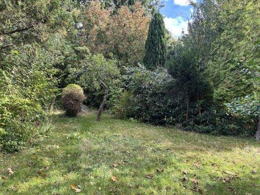 Grundstück Ansicht 1