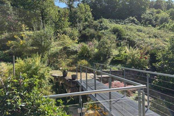 DG Blick auf den Garten