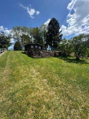 19 Blick zum Waldrand