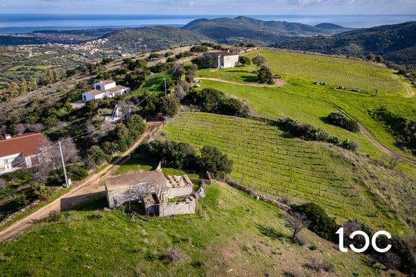 TERR. AGRICOLO-13.jpg