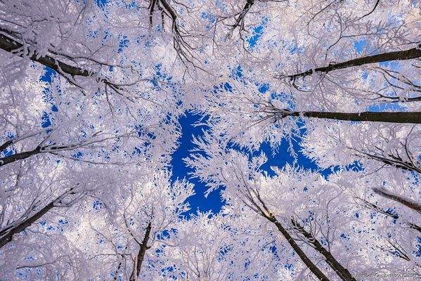 Open House am Samstag, 24.01.2026, 14:00 bis 17:00 Uhr in Kößlarn - ICC Immobilien Competence Center