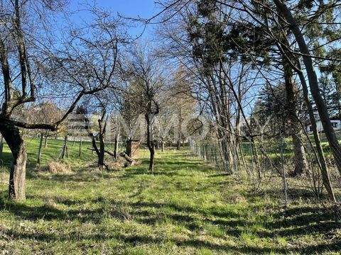 Hagenbrunn Häuser, Hagenbrunn Haus kaufen
