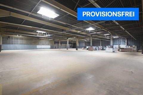 Elsenfeld / Rück Halle, Elsenfeld / Rück Hallenfläche