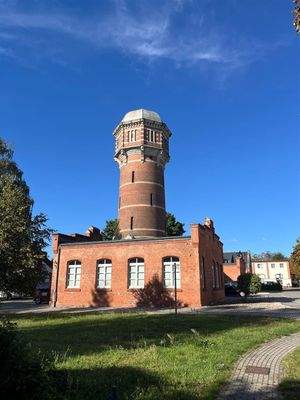 parkähnliche Außenanlage