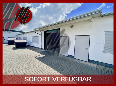 Zwingenberg Halle, Zwingenberg Hallenfläche