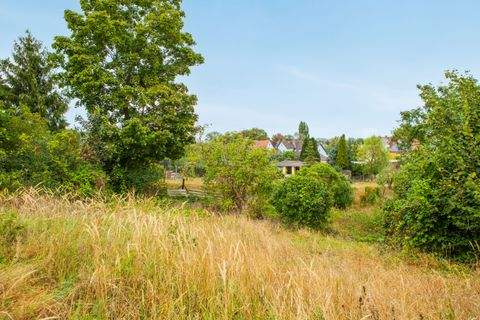 Wriezen Grundstücke, Wriezen Grundstück kaufen