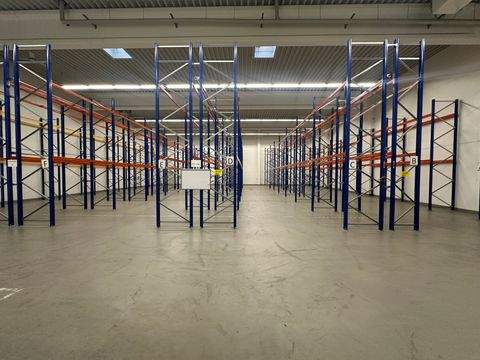 Oststeinbek Halle, Oststeinbek Hallenfläche