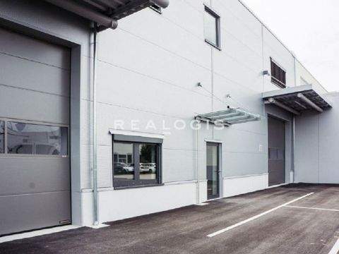 Maintal Halle, Maintal Hallenfläche