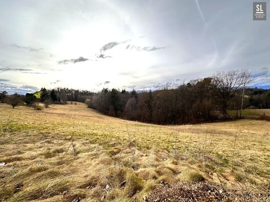 Die eigene Wiese
