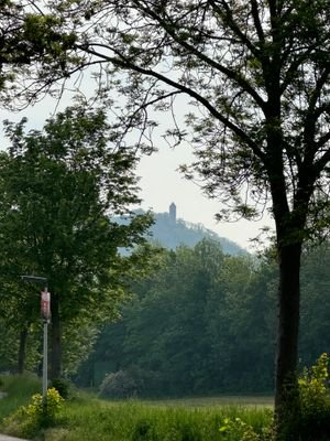 Blick vom Grundstück auf die Burgruine Plesse