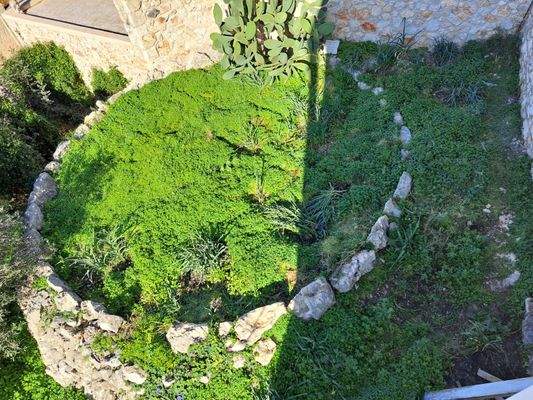 WhatsApp Image 2025-01-30 at 15.11.16_ffb5a452.jpg