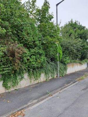 Vorderansicht / Strassenseite