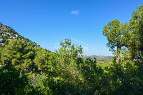 Blick über das Grundstück in die Ferne