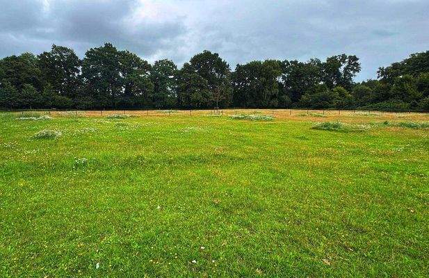 a60efc3a-9089-4a83-b877-f7ff922d31c1_SnapseedCopy.