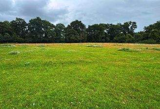 a60efc3a-9089-4a83-b877-f7ff922d31c1_SnapseedCopy.