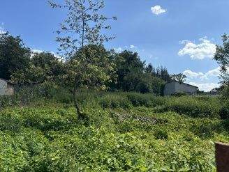 IPPLING Renditeobjekte, Mehrfamilienhäuser, Geschäftshäuser, Kapitalanlage