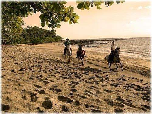 ImmoScout360 Beach horses - Copy