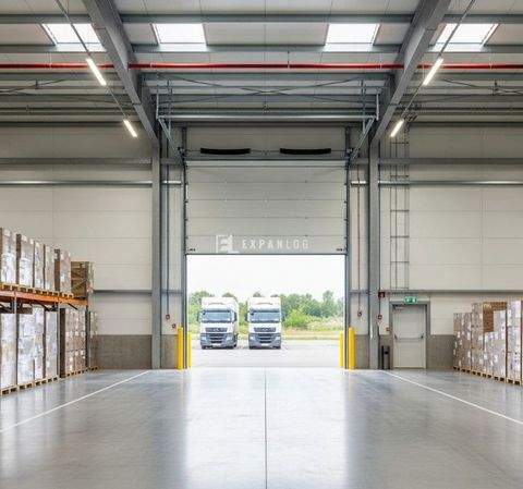 Leverkusen Halle, Leverkusen Hallenfläche