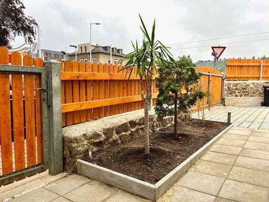 neue Zaunanlage und Bepflanzung