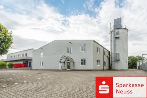 Jüchen Halle, Jüchen Hallenfläche
