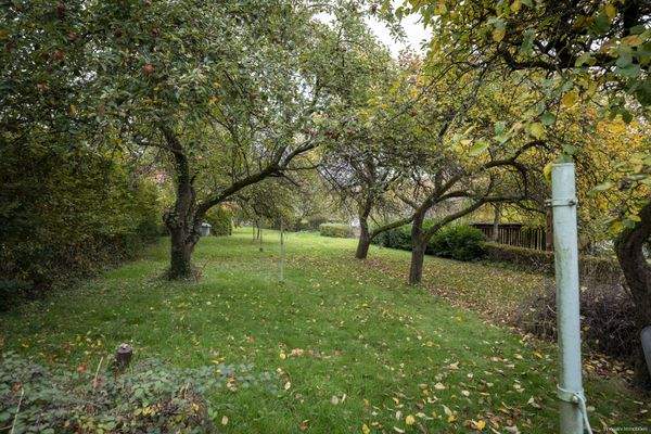 Hinterer Gartenbereich