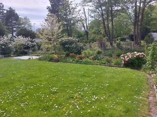 sonniger Garten hinter dem Haus