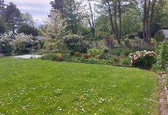 sonniger Garten hinter dem Haus