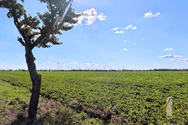 Baugebiet "Alter Sportplatz"