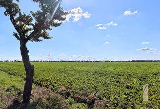 Baugebiet "Alter Sportplatz"