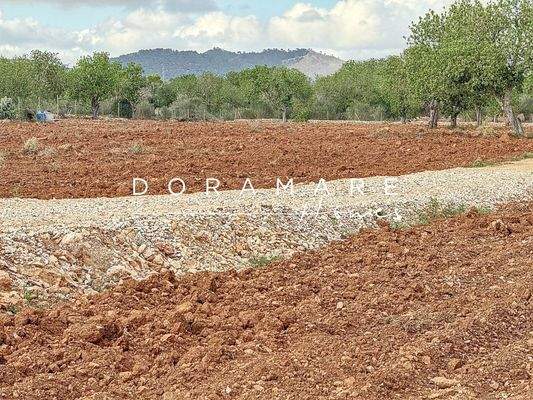 sa-comuna_00002_dfc383e