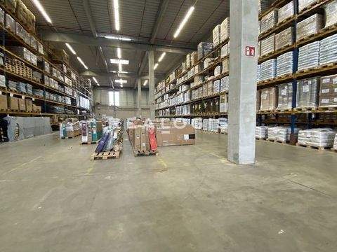 Gärtringen Halle, Gärtringen Hallenfläche