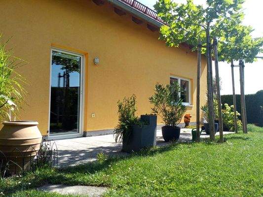 naturpur mit Bäume und Pflanze