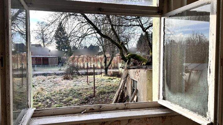 Ausblick in den Garten