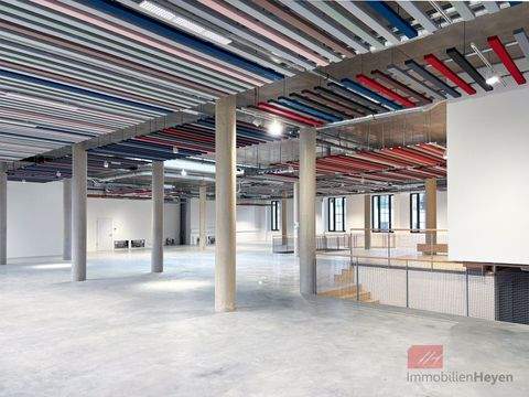 Wangen im Allgäu Büros, Büroräume, Büroflächen 