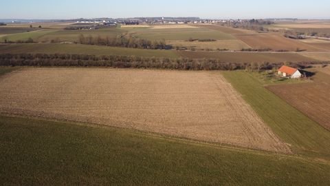 Langenau Bauernhöfe, Landwirtschaft, Langenau Forstwirtschaft