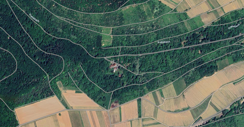 Münster-Sarmsheim Bauernhöfe, Landwirtschaft, Münster-Sarmsheim Forstwirtschaft