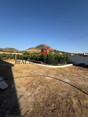 WhatsApp Image 2025-08-27 at 18.00.48.jpeg