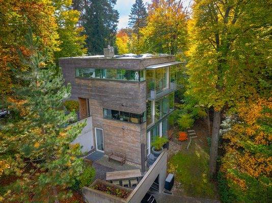 Mein Zuhause in den Baumwipfeln.