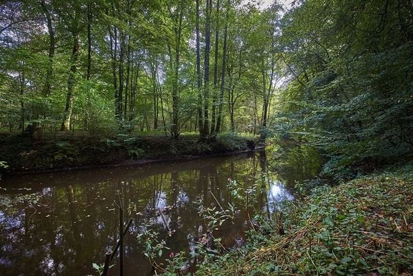 Der Alsterlauf direkt vor der Tür