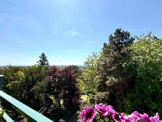 Atemberaubender Weitblick über Dresden