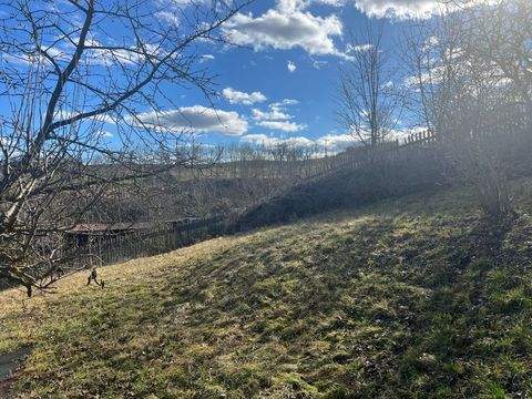 Rudolstadt Häuser, Rudolstadt Haus kaufen