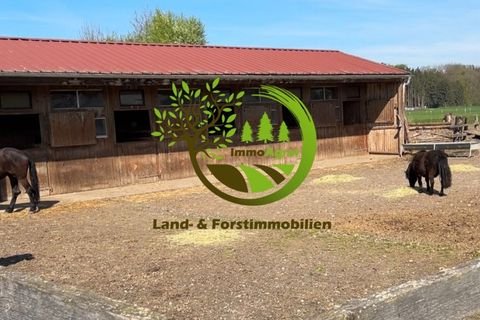 Nordendorf Bauernhöfe, Landwirtschaft, Nordendorf Forstwirtschaft